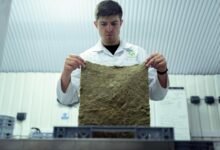 future growth projections analysis