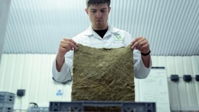 future growth projections analysis