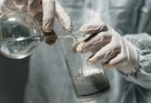 industry dynamics analysis report