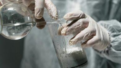 industry dynamics analysis report