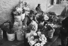 market intelligence report overview