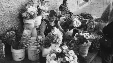 market intelligence report overview